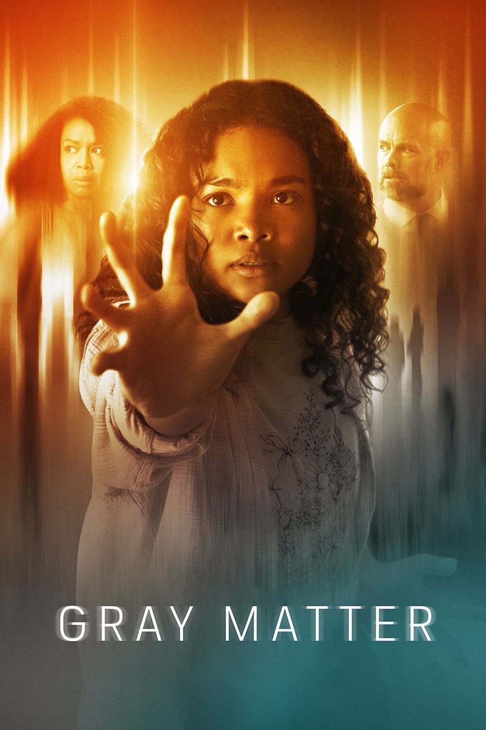 Poster di Gray Matter