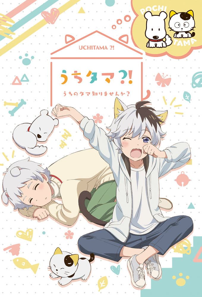 Poster di Uchitama?! Have You Seen My Tama?