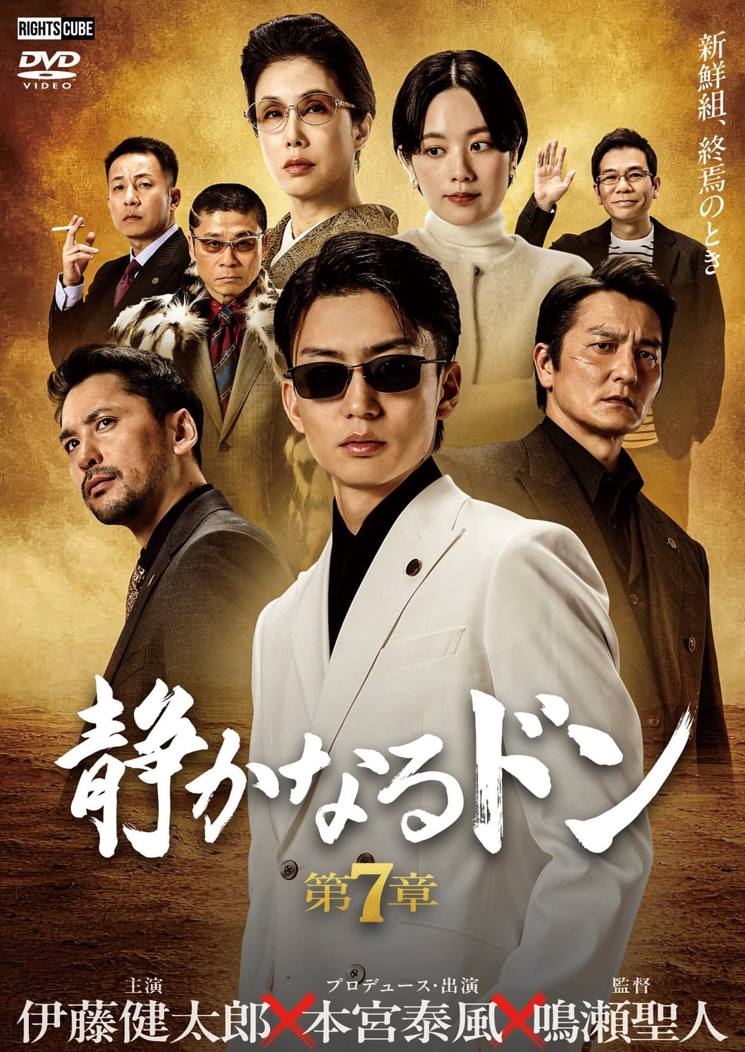 Poster di 静かなるドン 第７章