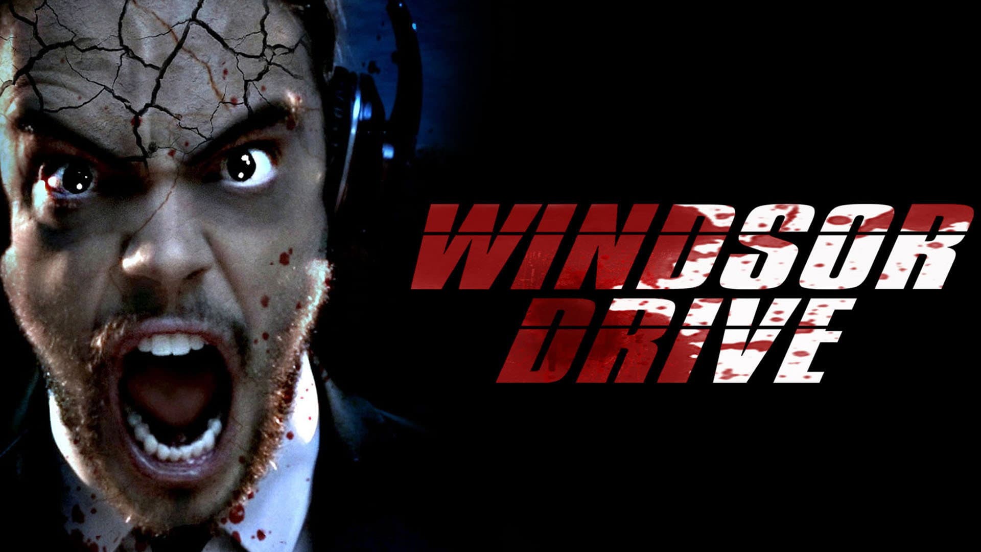 Windsor Drive - immagine