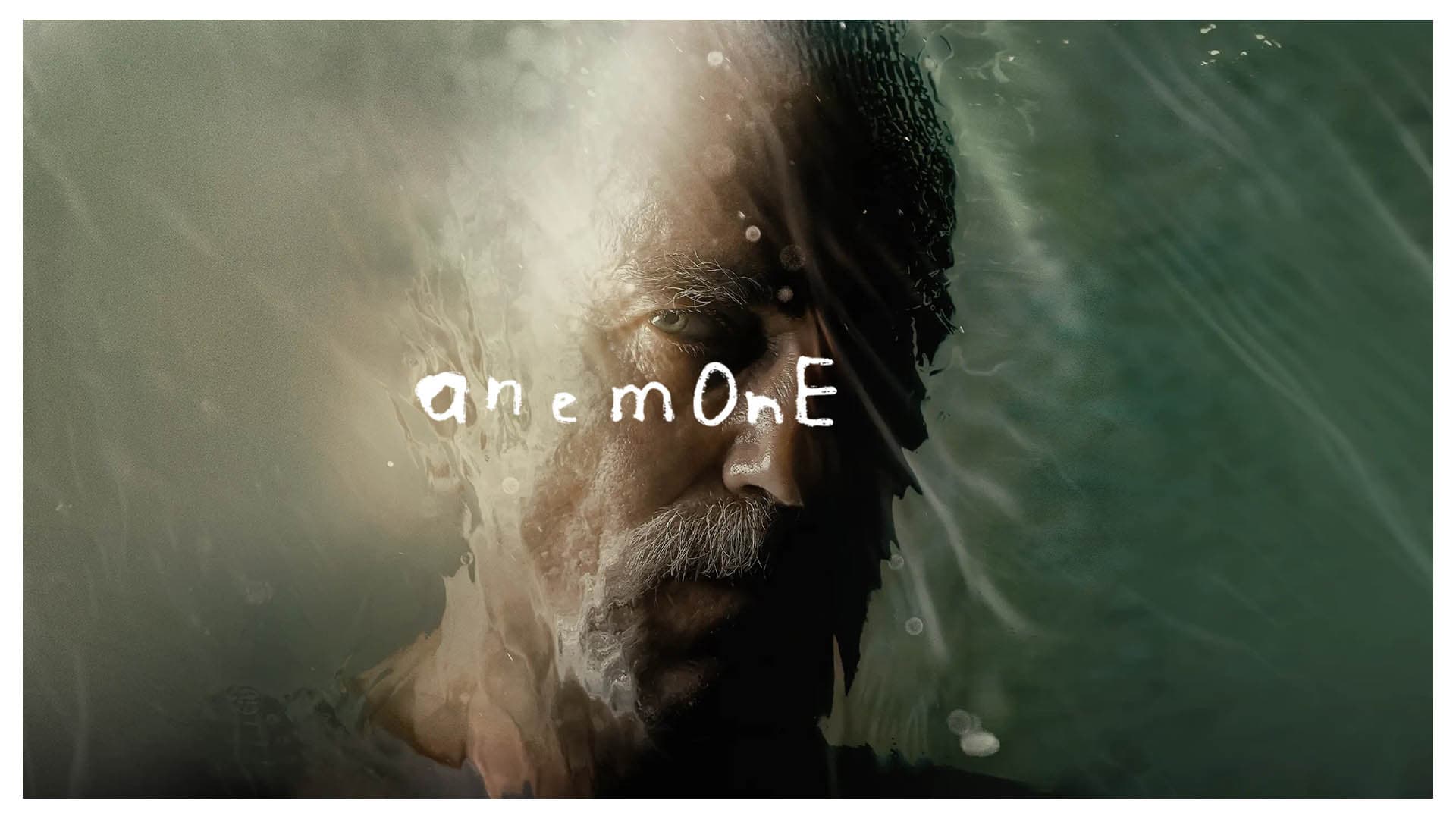 Anemone - immagine