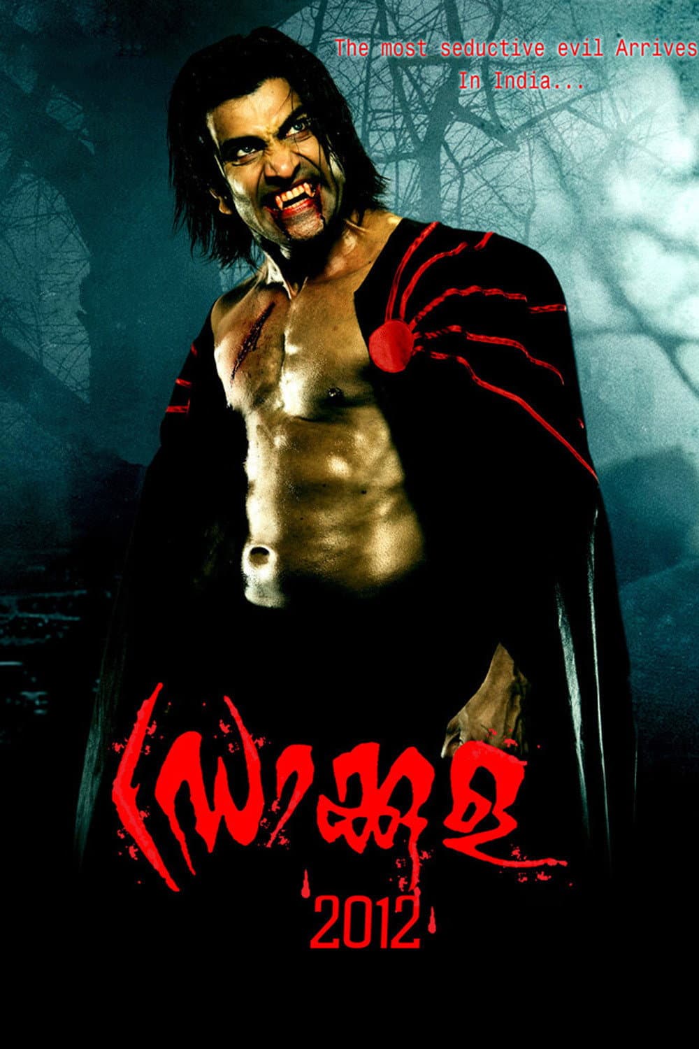 Poster di ഡ്രാക്കുള 2012