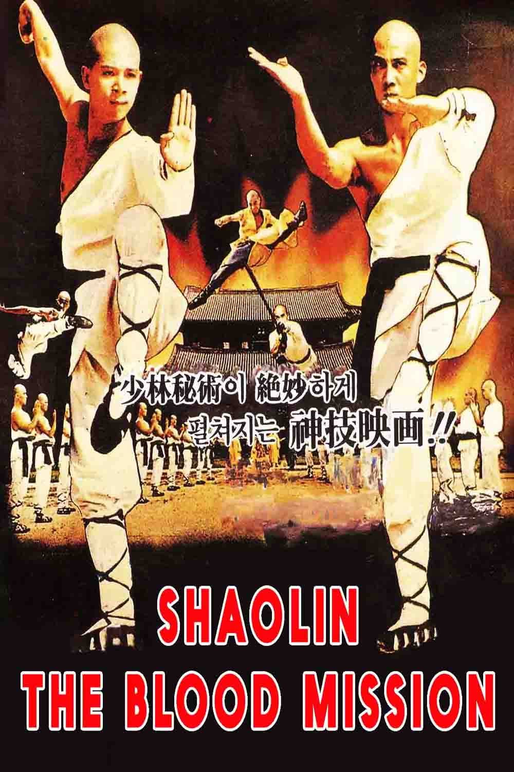 Poster di 사대소림사