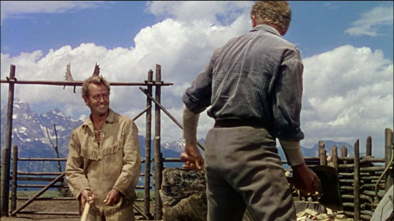 Il cavaliere della valle solitaria - immagine