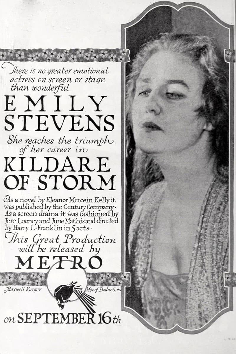 Poster di Kildare of Storm