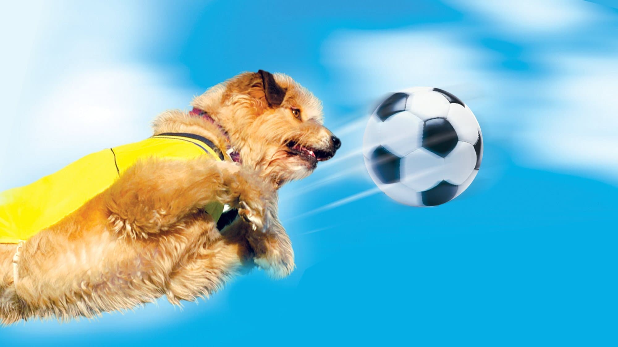 Soccer Dog - Asso del pallone - immagine