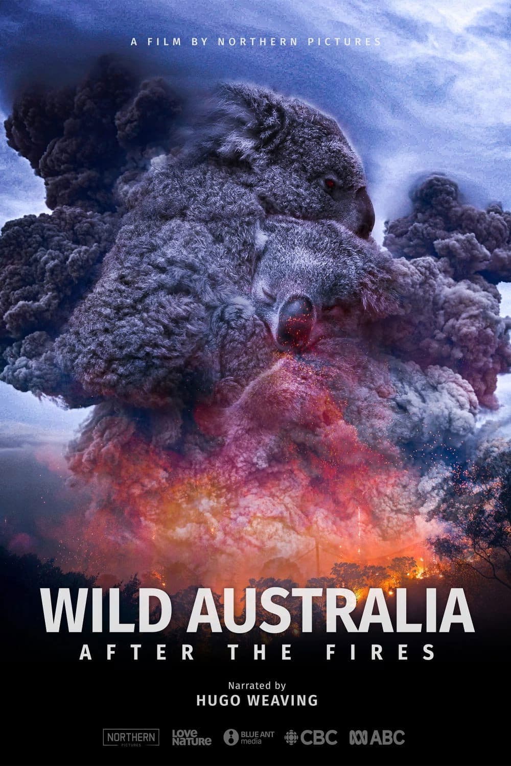 Poster di Wild Australia: After the Fires