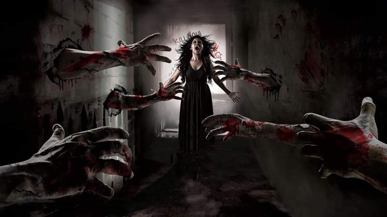லிசா - immagine