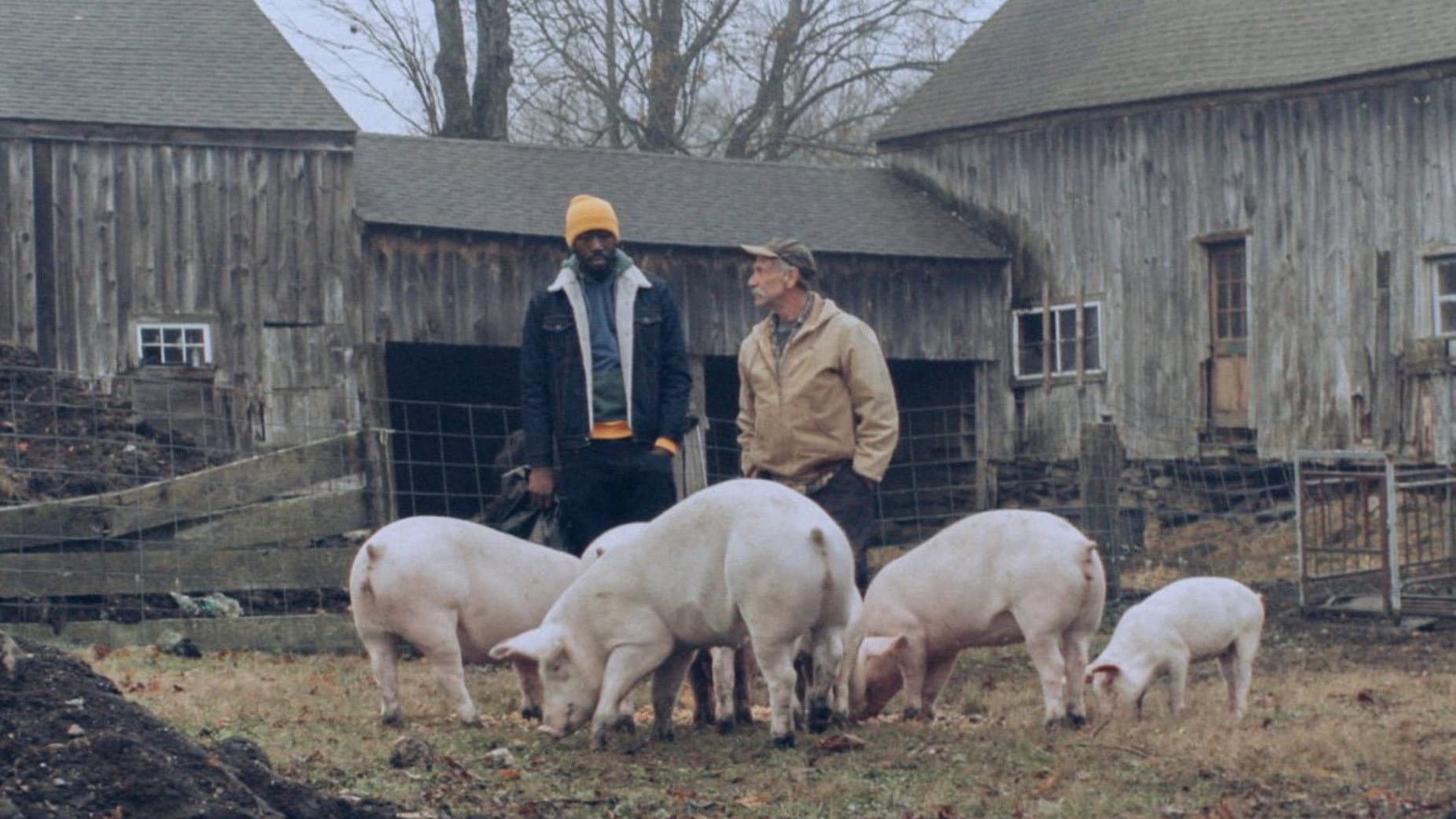 Un rapper in campagna - immagine
