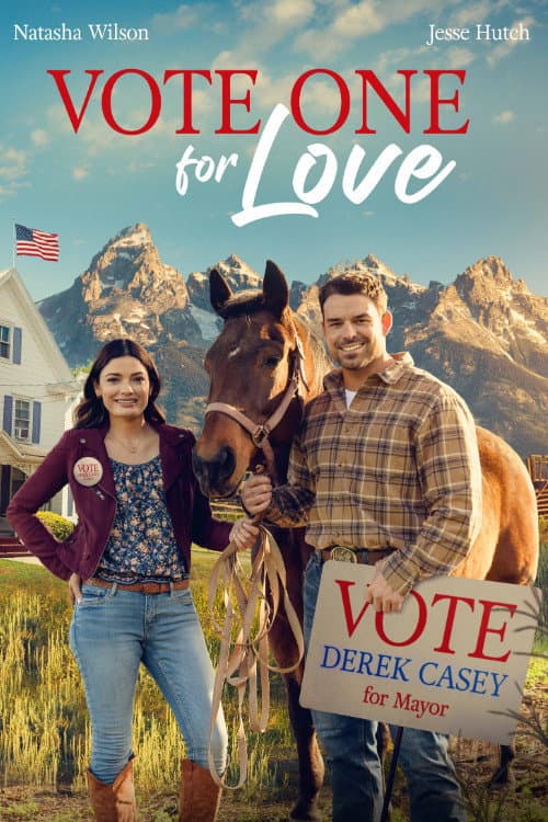 Poster di In politica e in amore