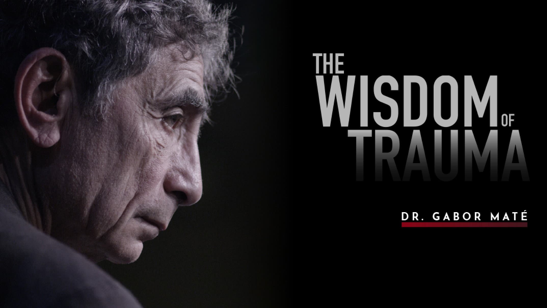 The Wisdom of Trauma - immagine