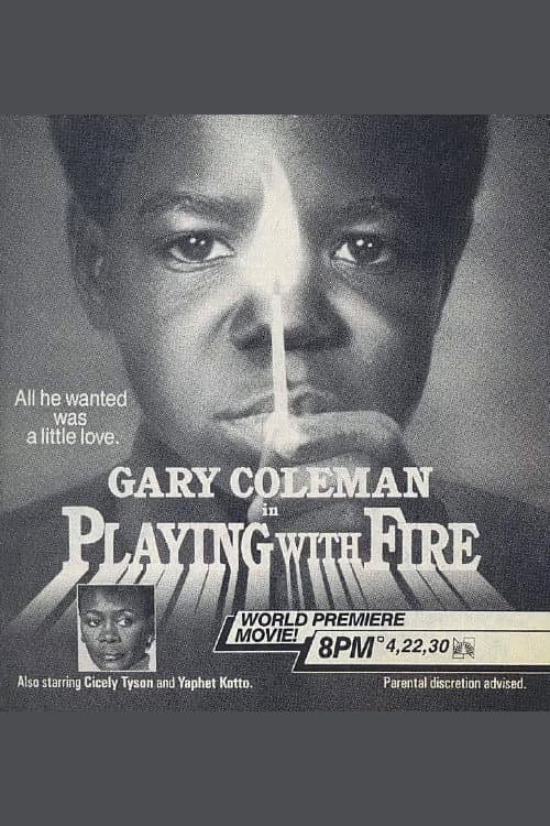 Poster di Playing with Fire