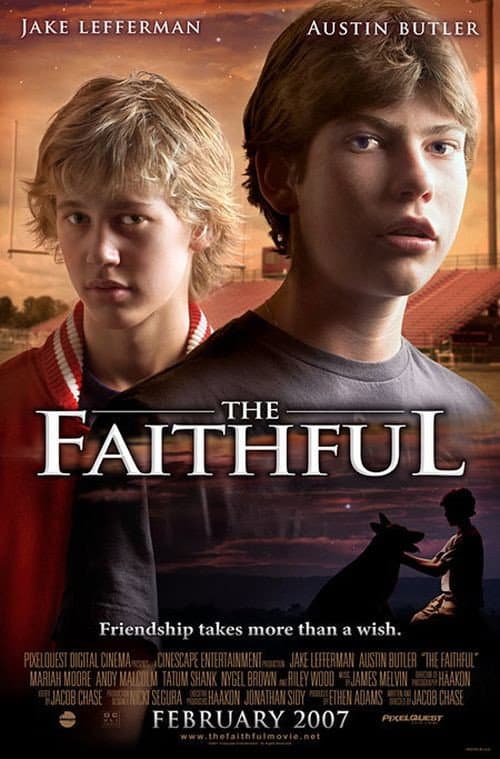 Poster di The Faithful