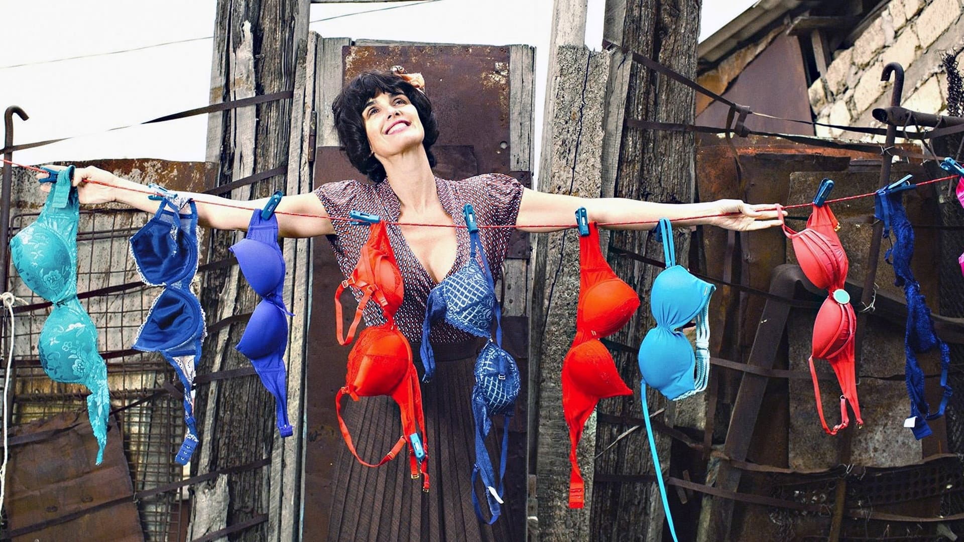 The Bra - Il reggipetto - immagine