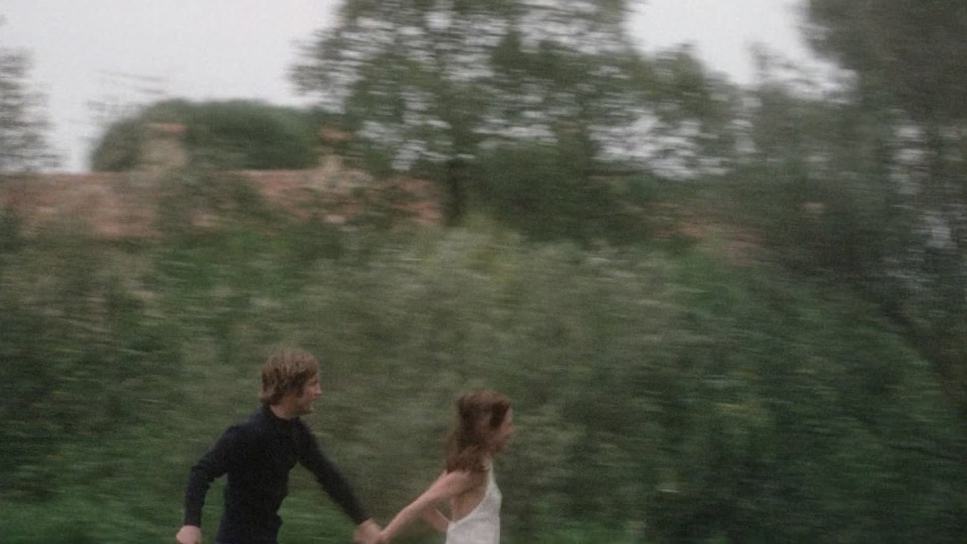 Il margine - immagine