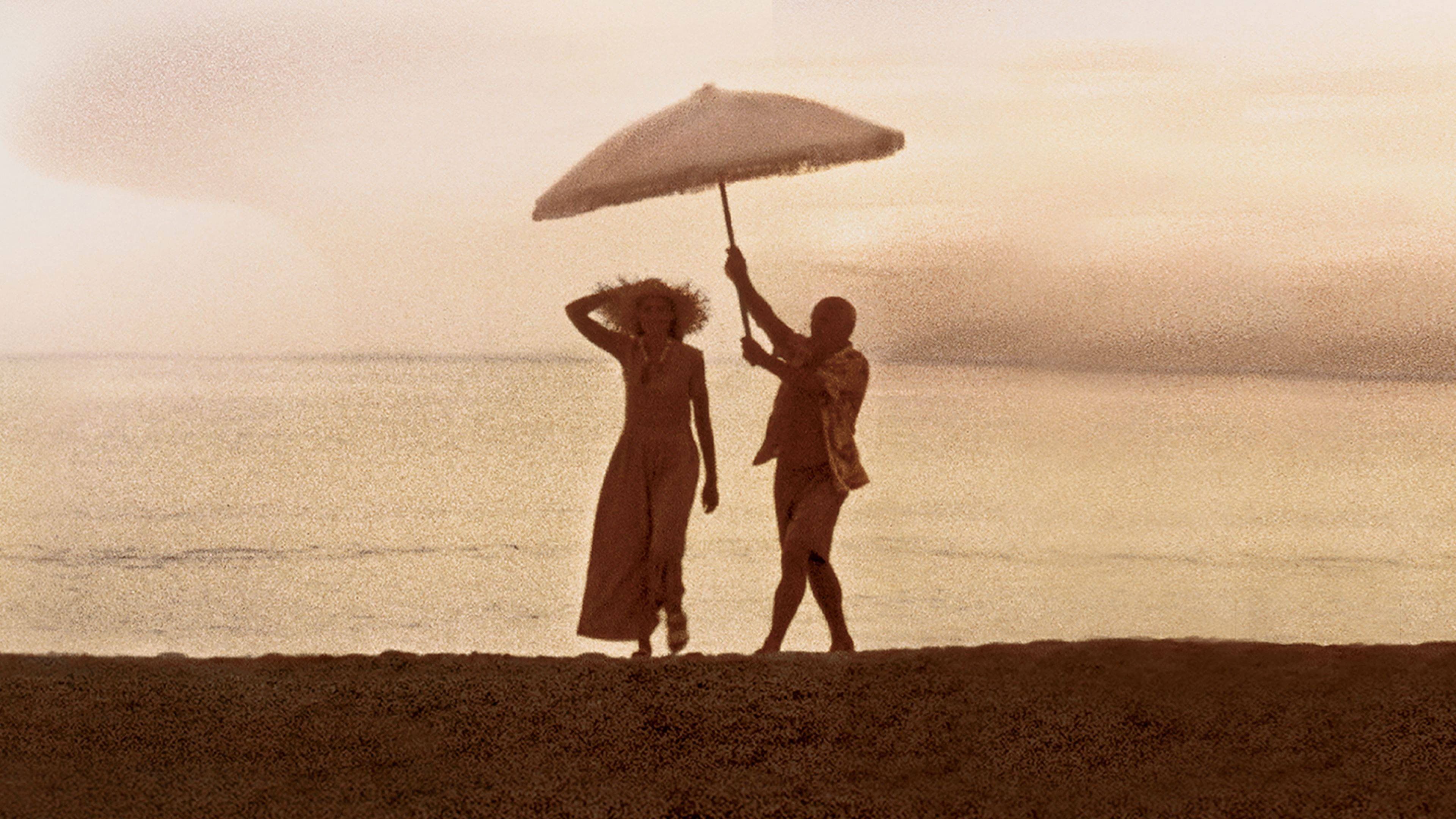 Surviving Picasso - immagine