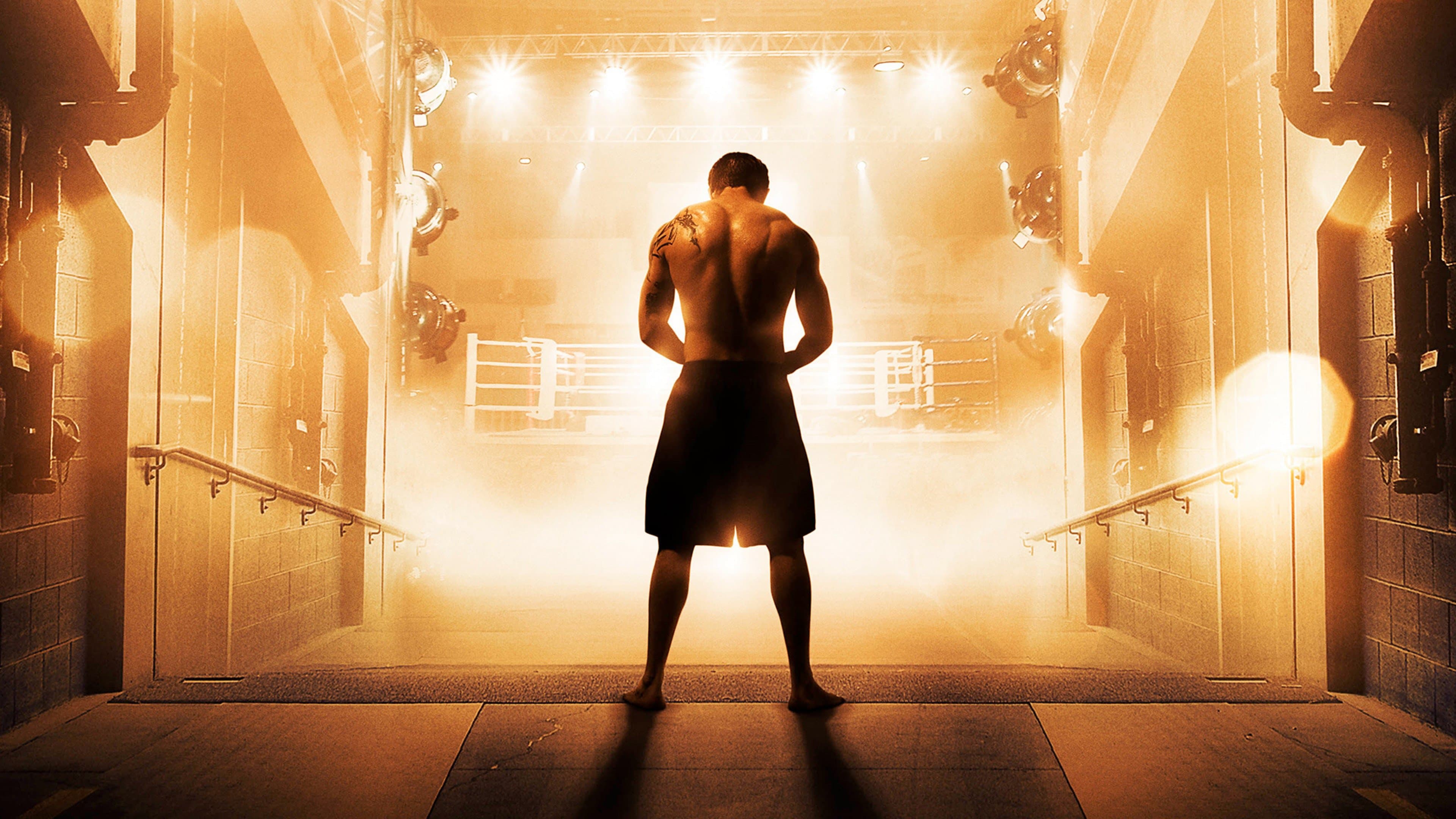Warrior - immagine