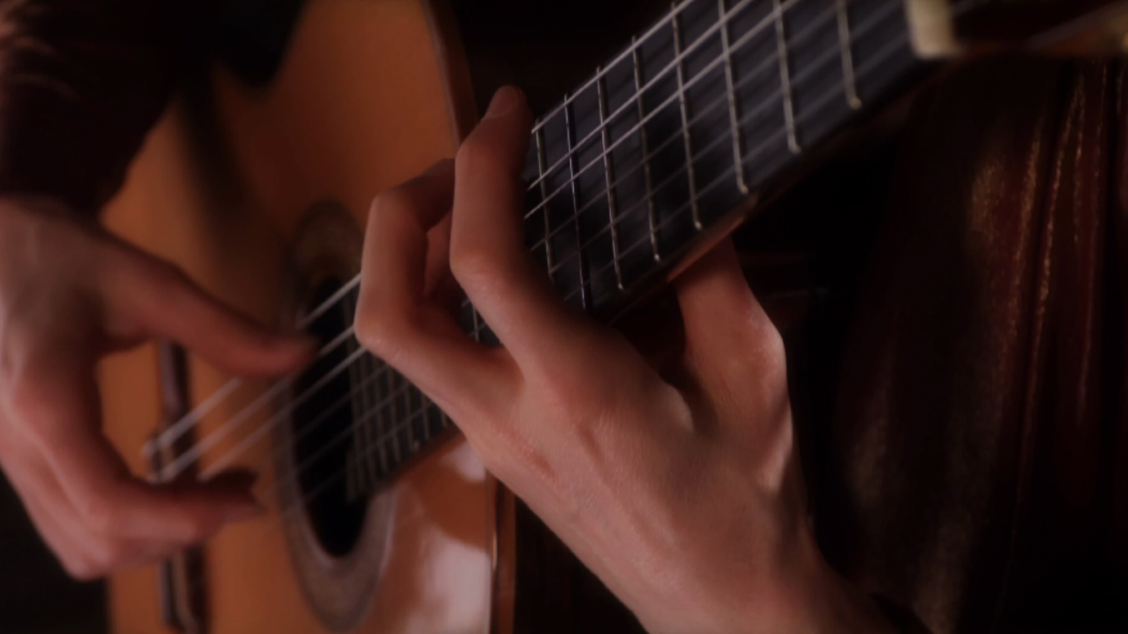 Sharon Isbin: Troubadour - immagine