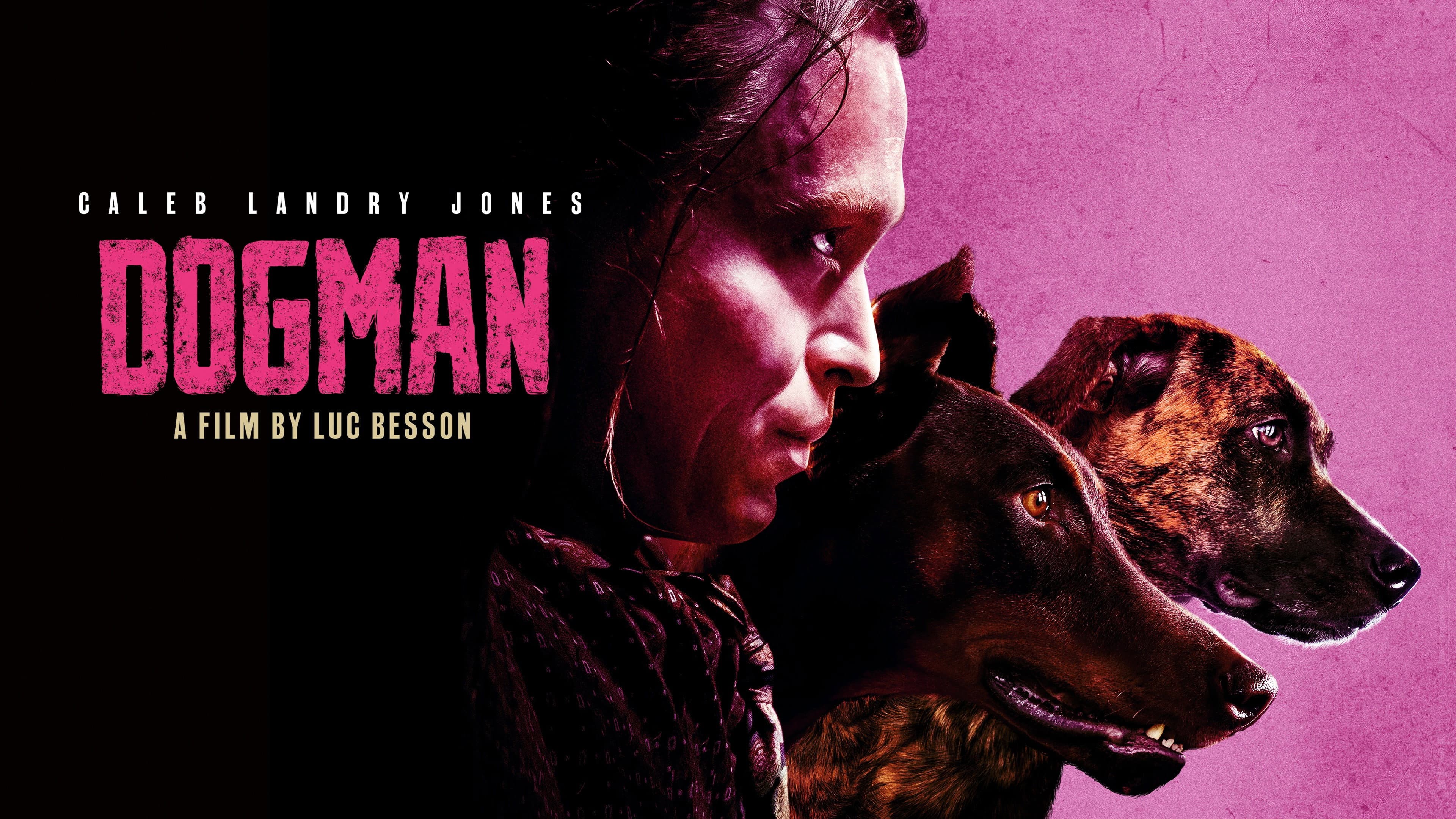 Dogman - immagine