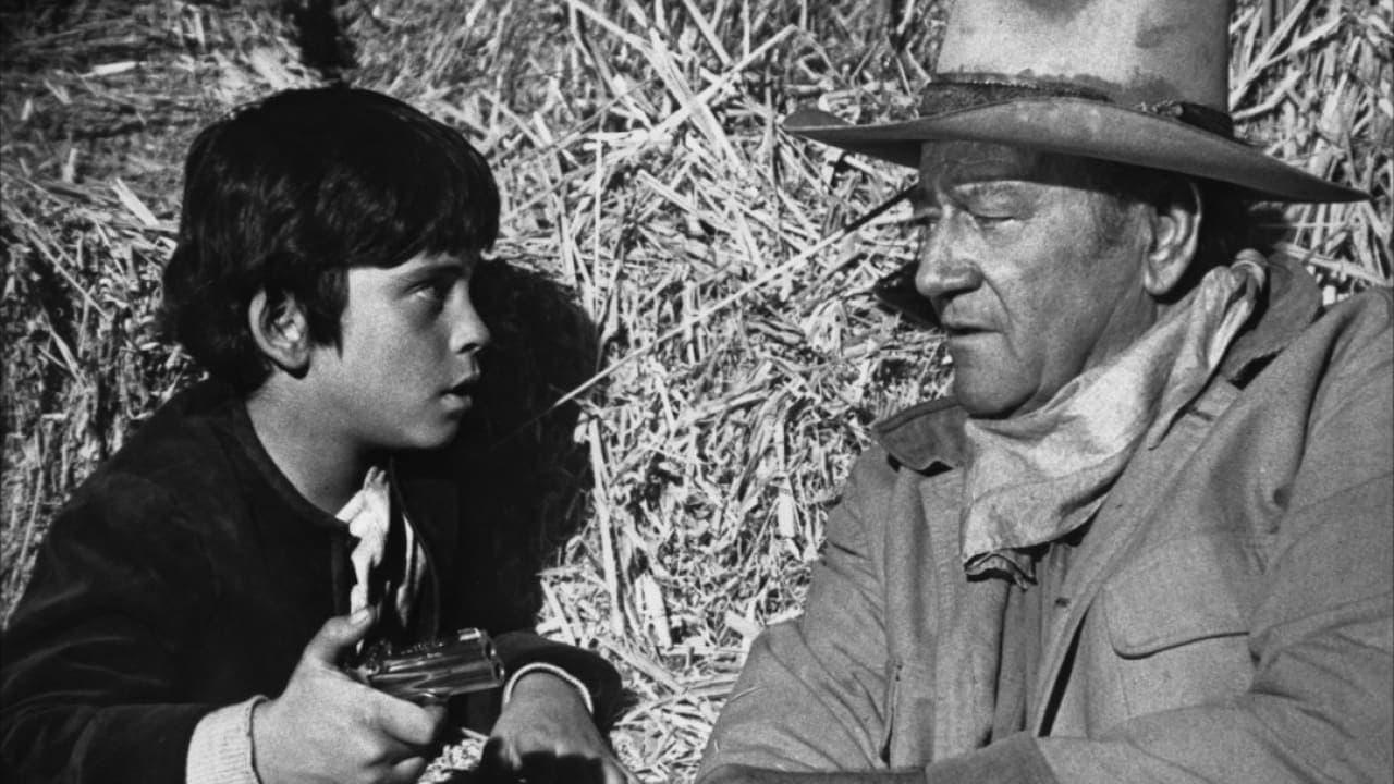Il grande Jake - immagine