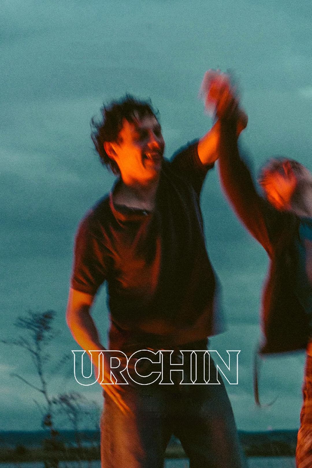 Poster di Urchin