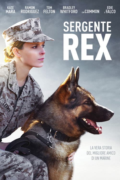 Poster di Sergente Rex