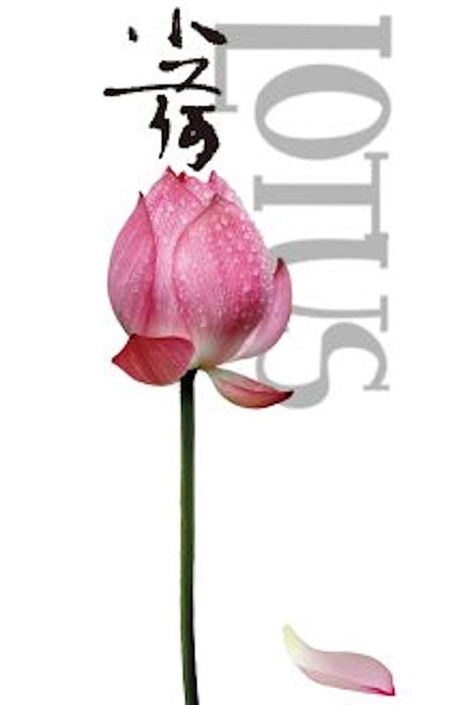 Poster di 小荷