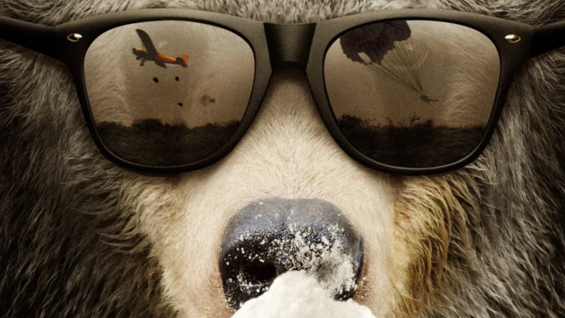 Cocaine Bear: The True Story - immagine
