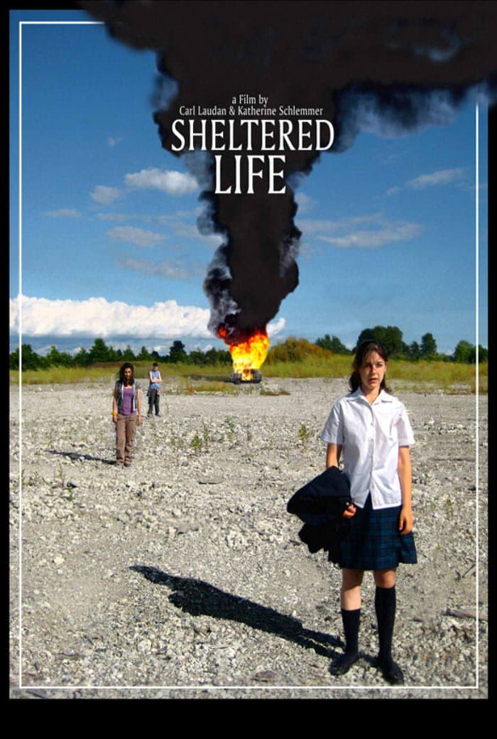 Poster di Sheltered Life