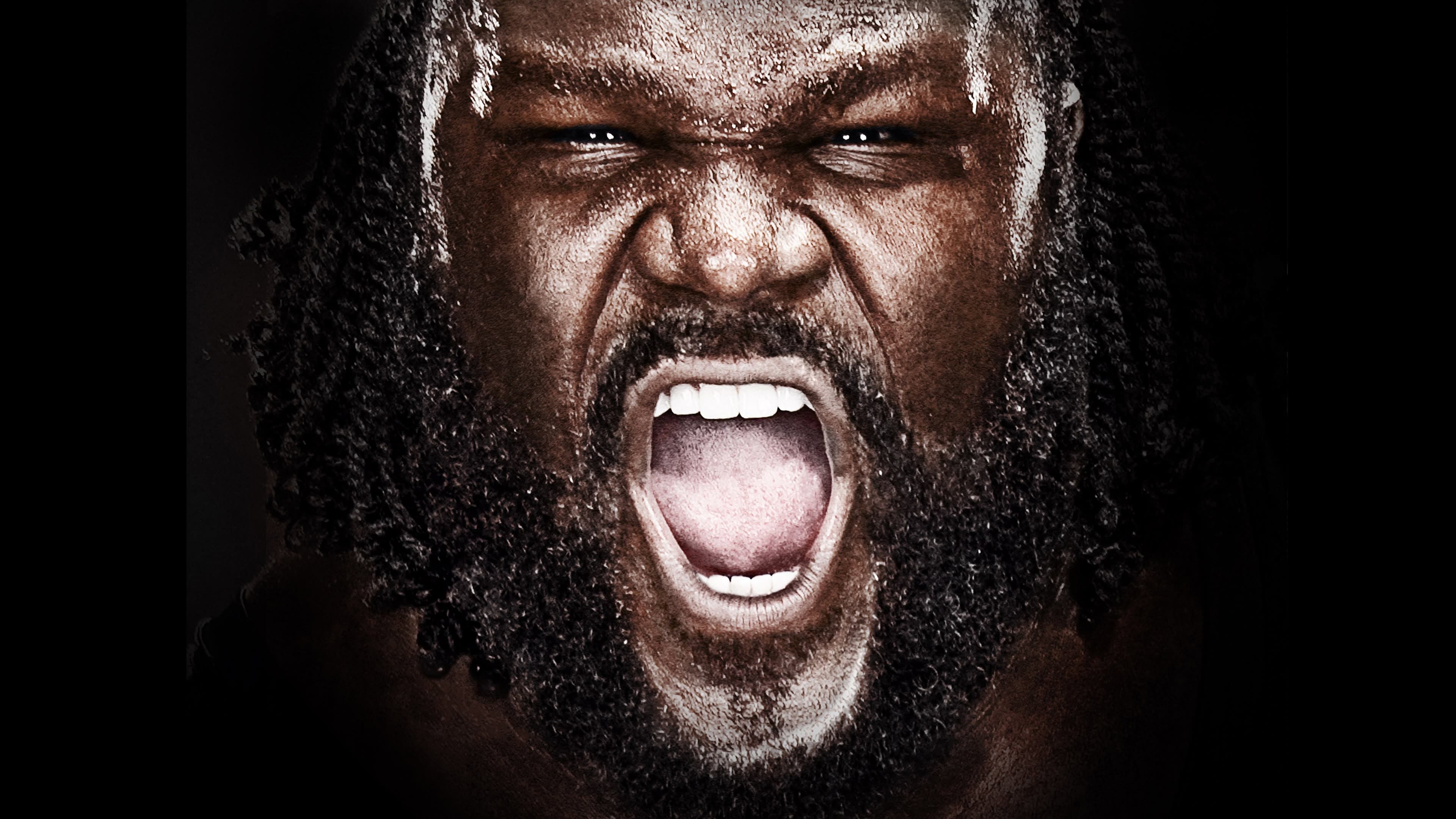 WWE Vengeance 2011 - immagine