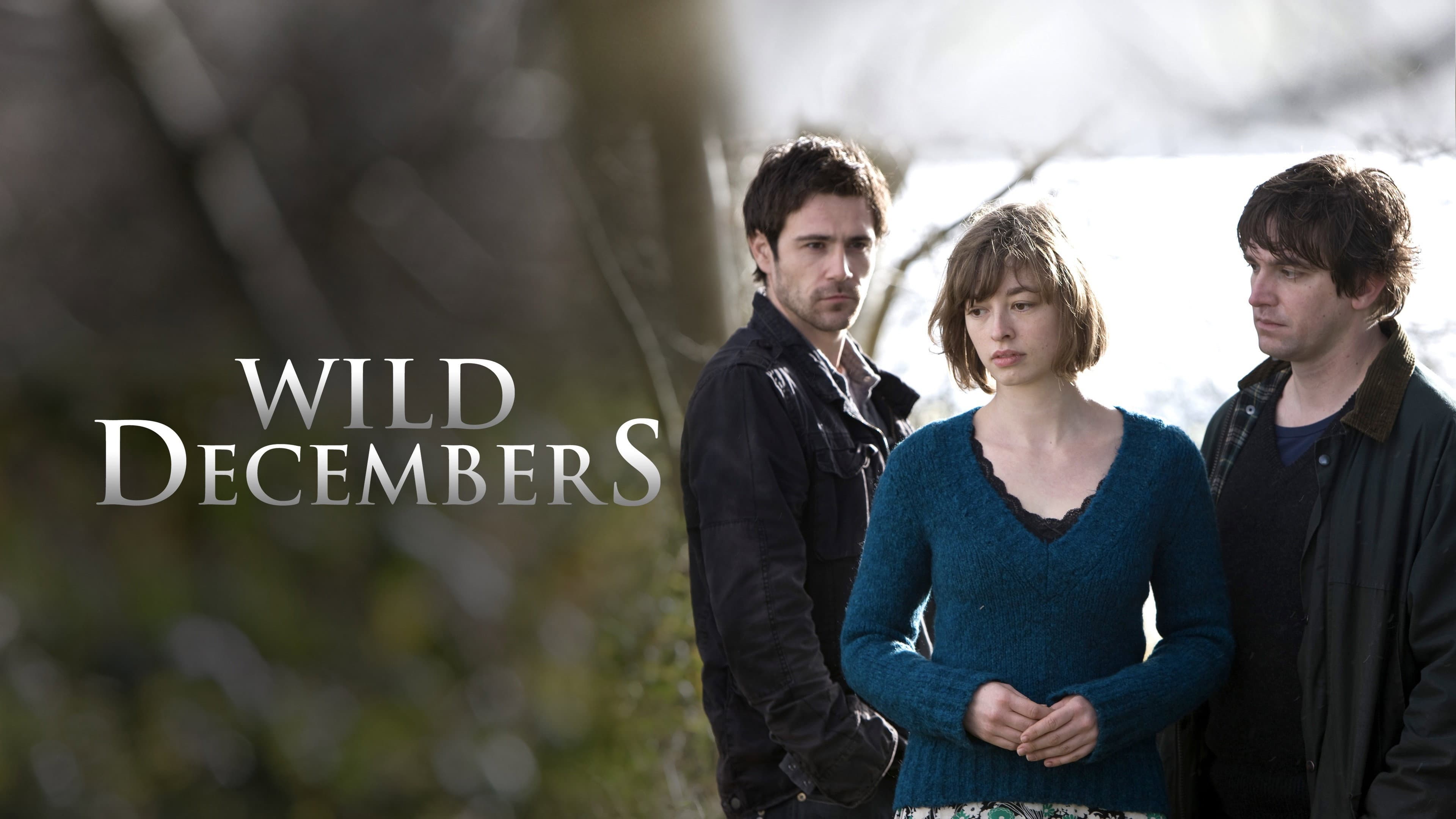 Wild Decembers - immagine