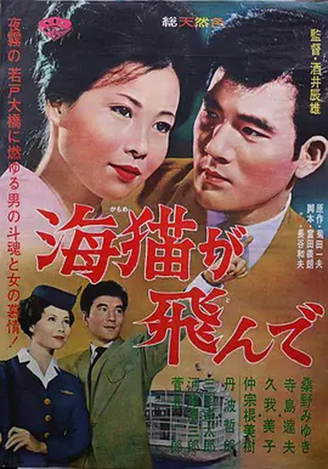 Poster di 海猫が飛んで
