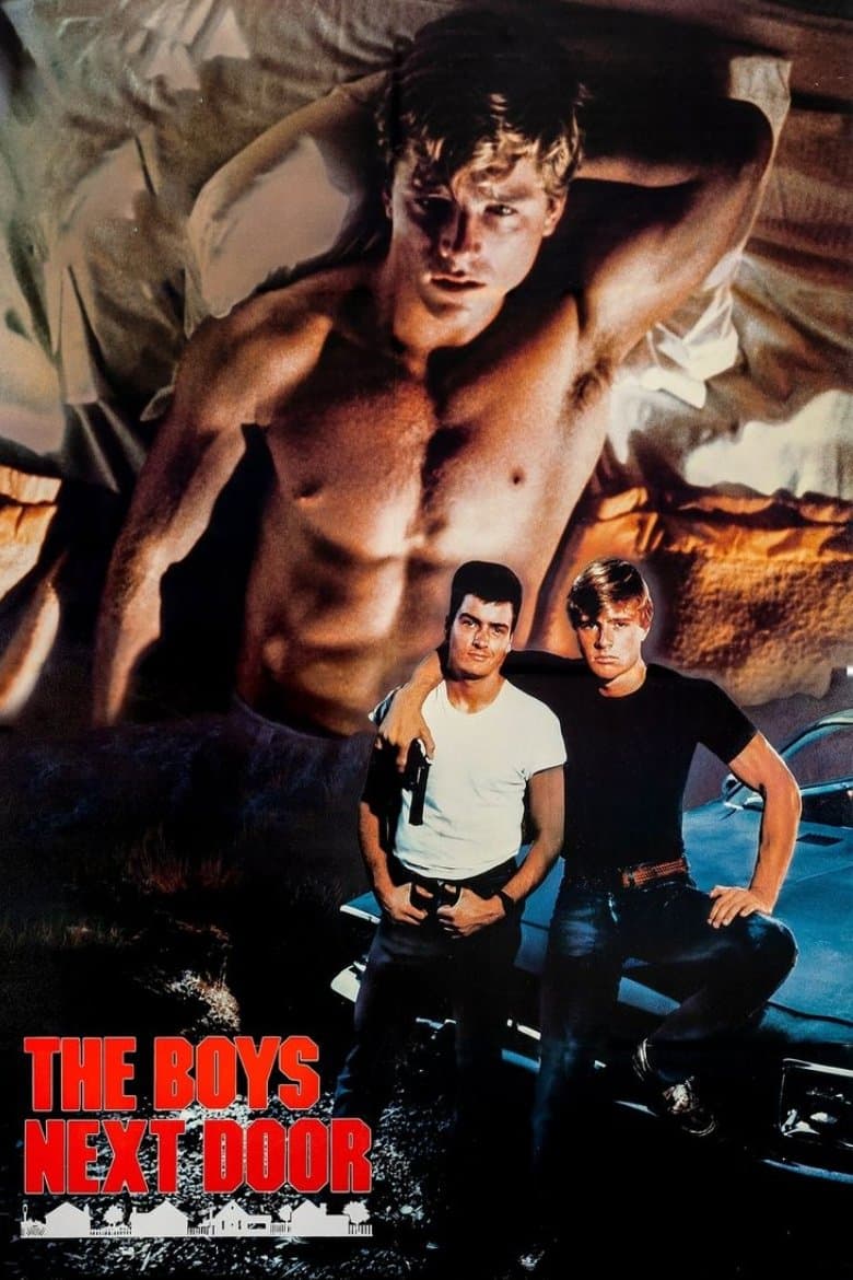 Poster di I ragazzi della porta accanto