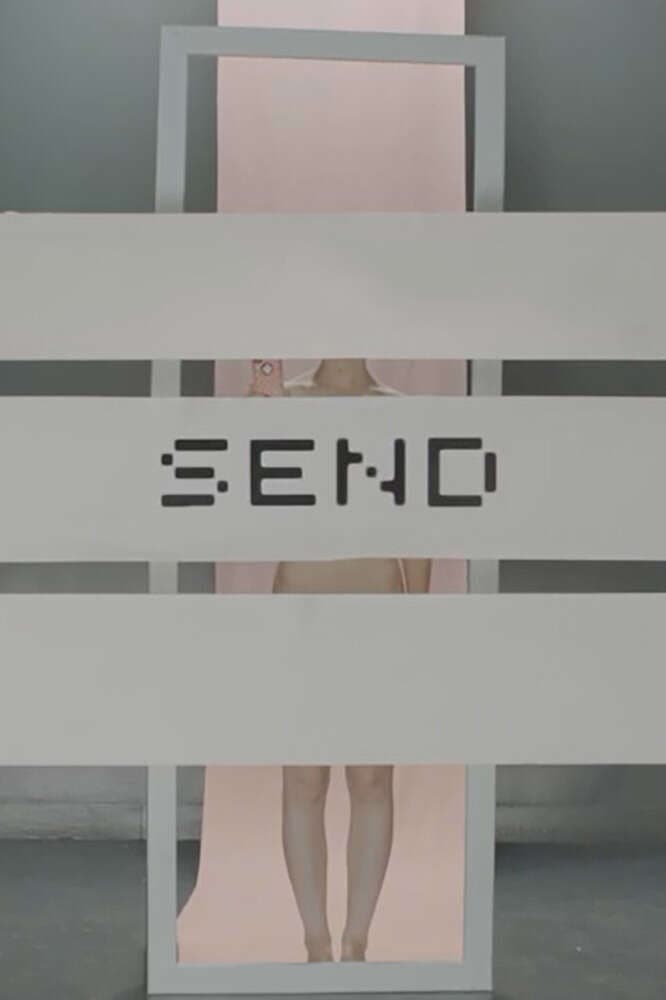 Poster di Send