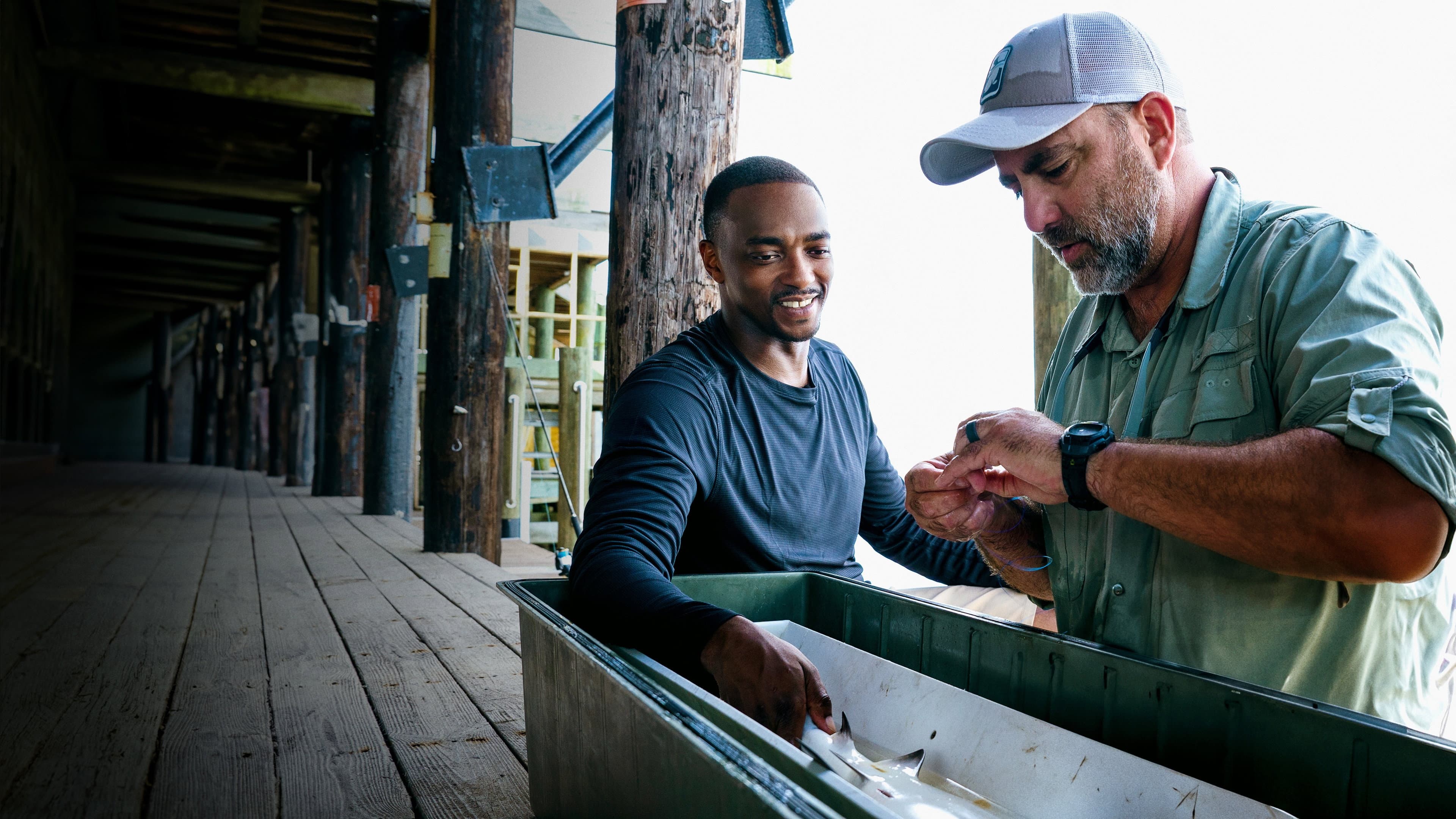 Shark Beach with Anthony Mackie - immagine