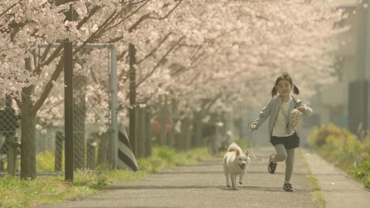 駅までの道をおしえて - immagine