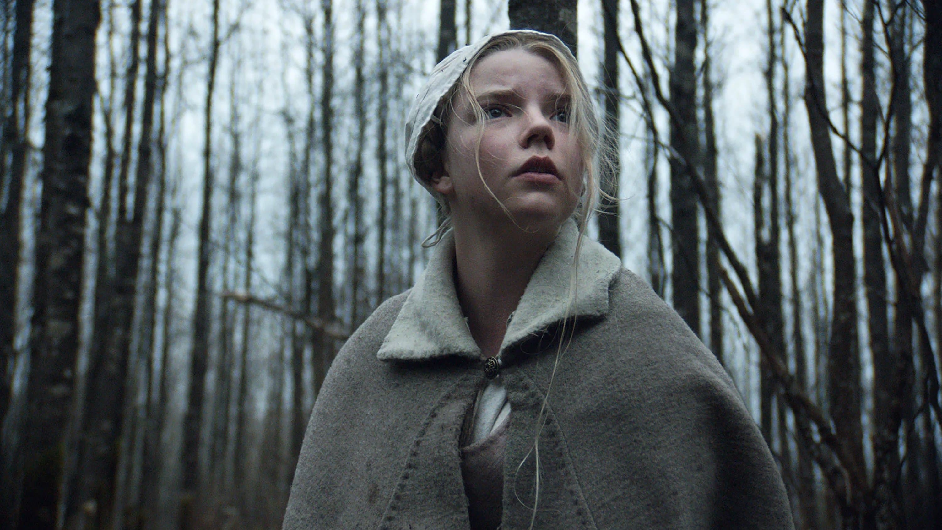 The Witch - immagine