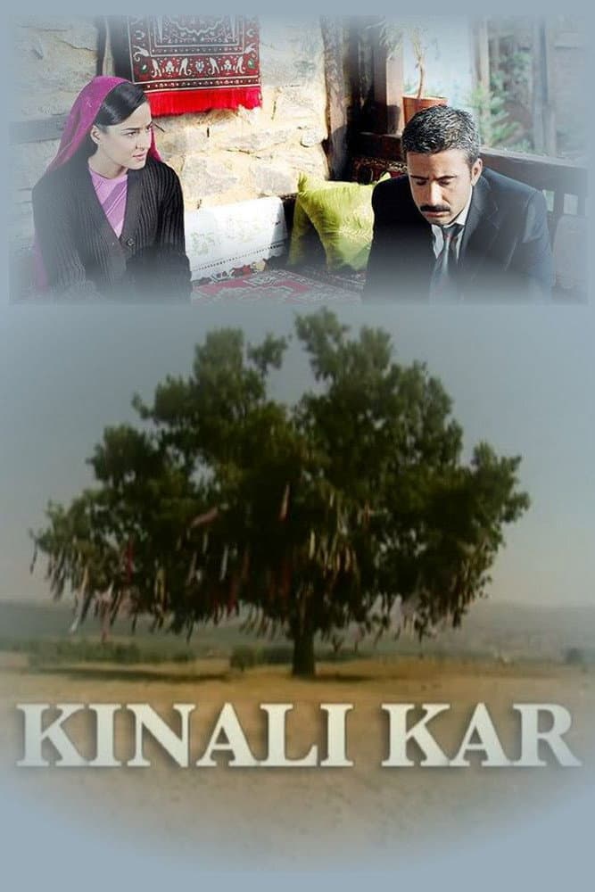 Poster di Kınalı Kar