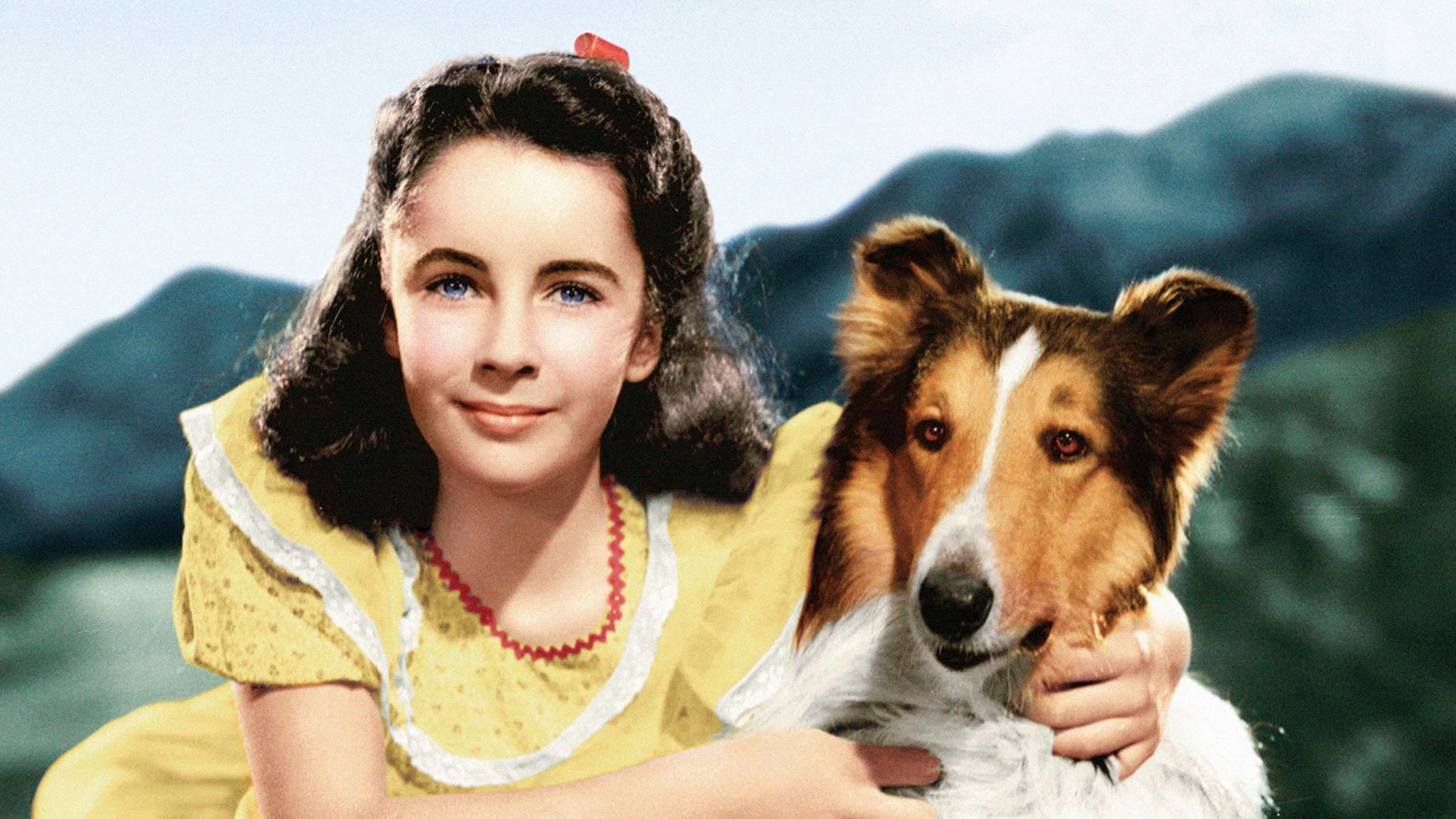 Il coraggio di Lassie - immagine
