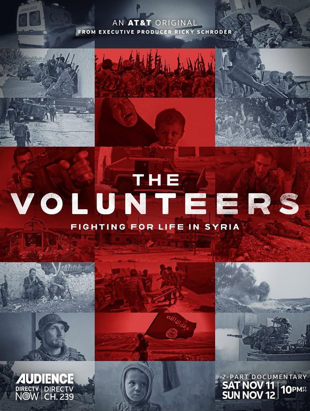 Poster di The Volunteers