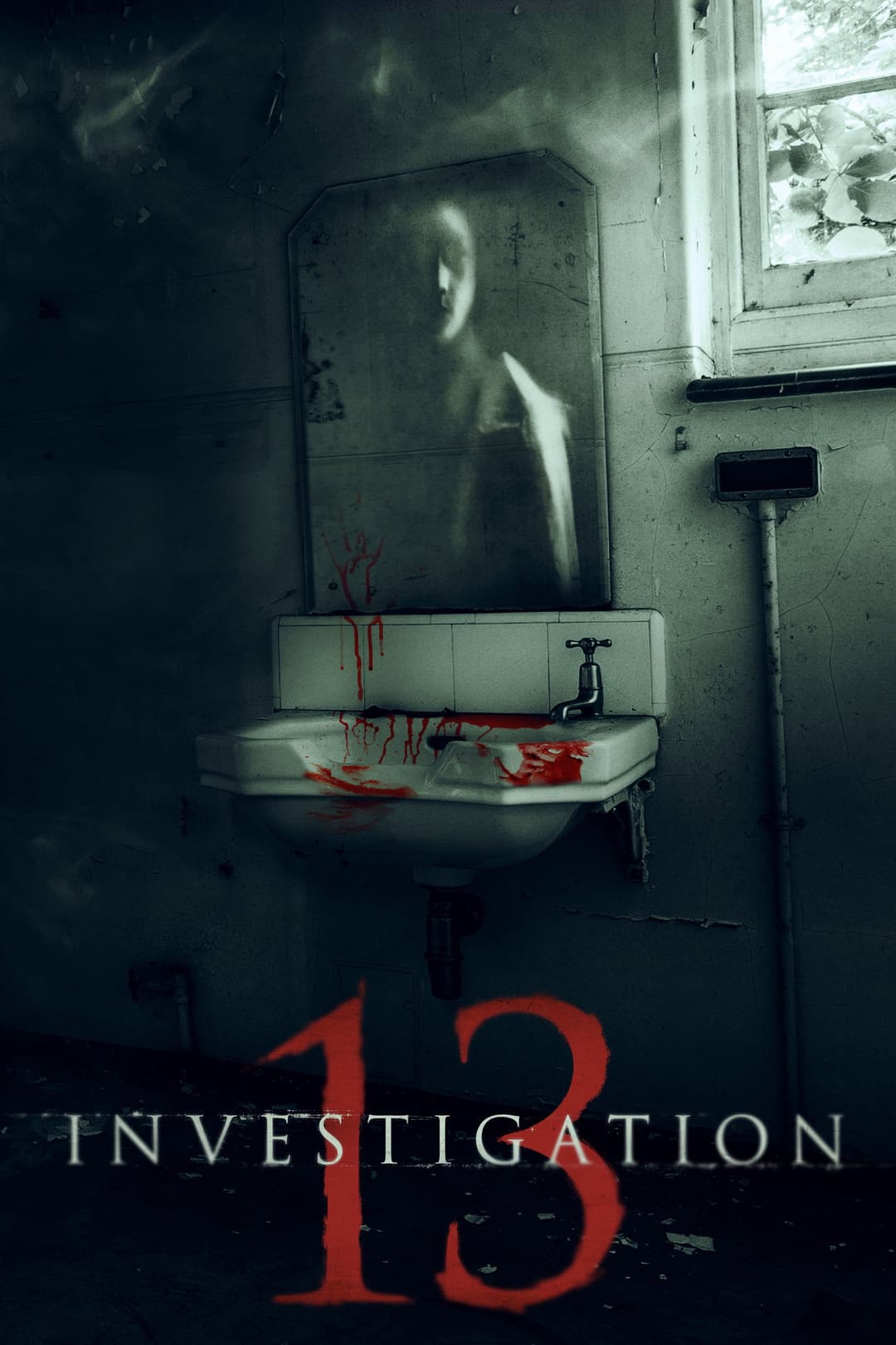 Poster di Investigation 13