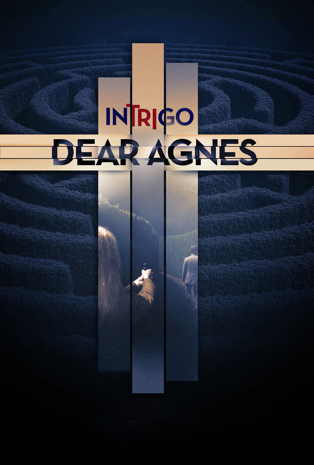 Poster di Intrigo: La nemica del cuore