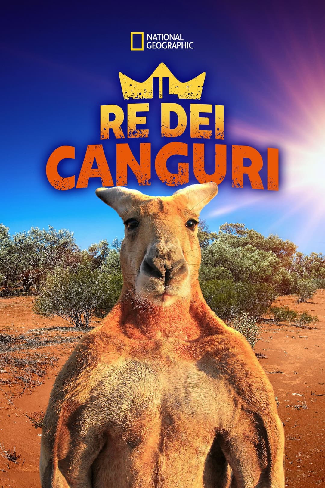 Poster di Il re dei canguri
