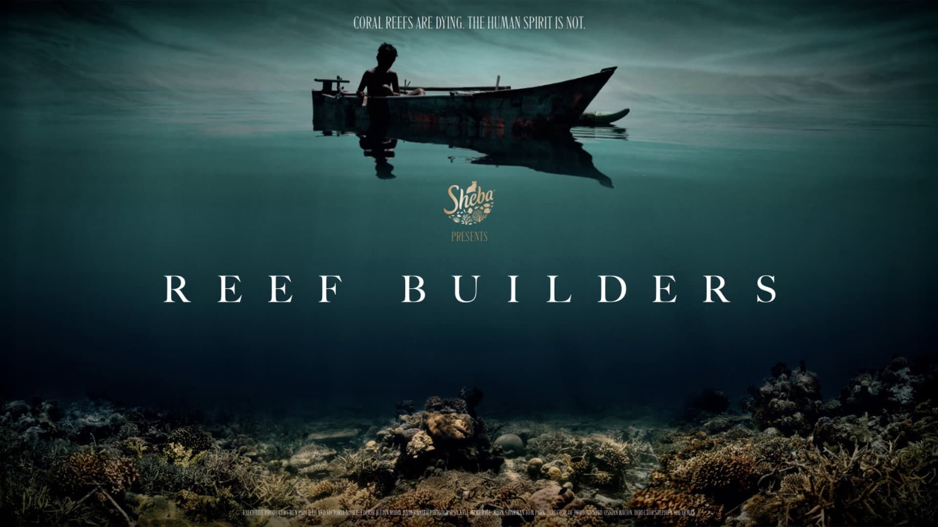 Reef Builders - immagine