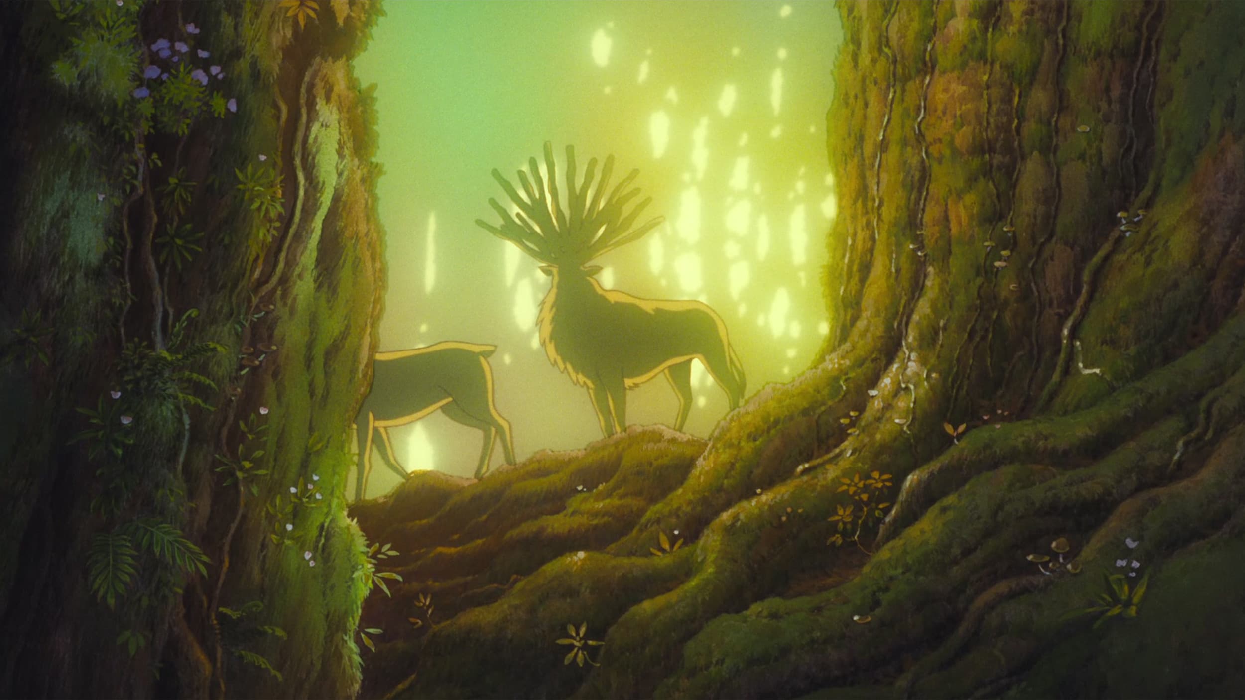 Princess Mononoke - immagine