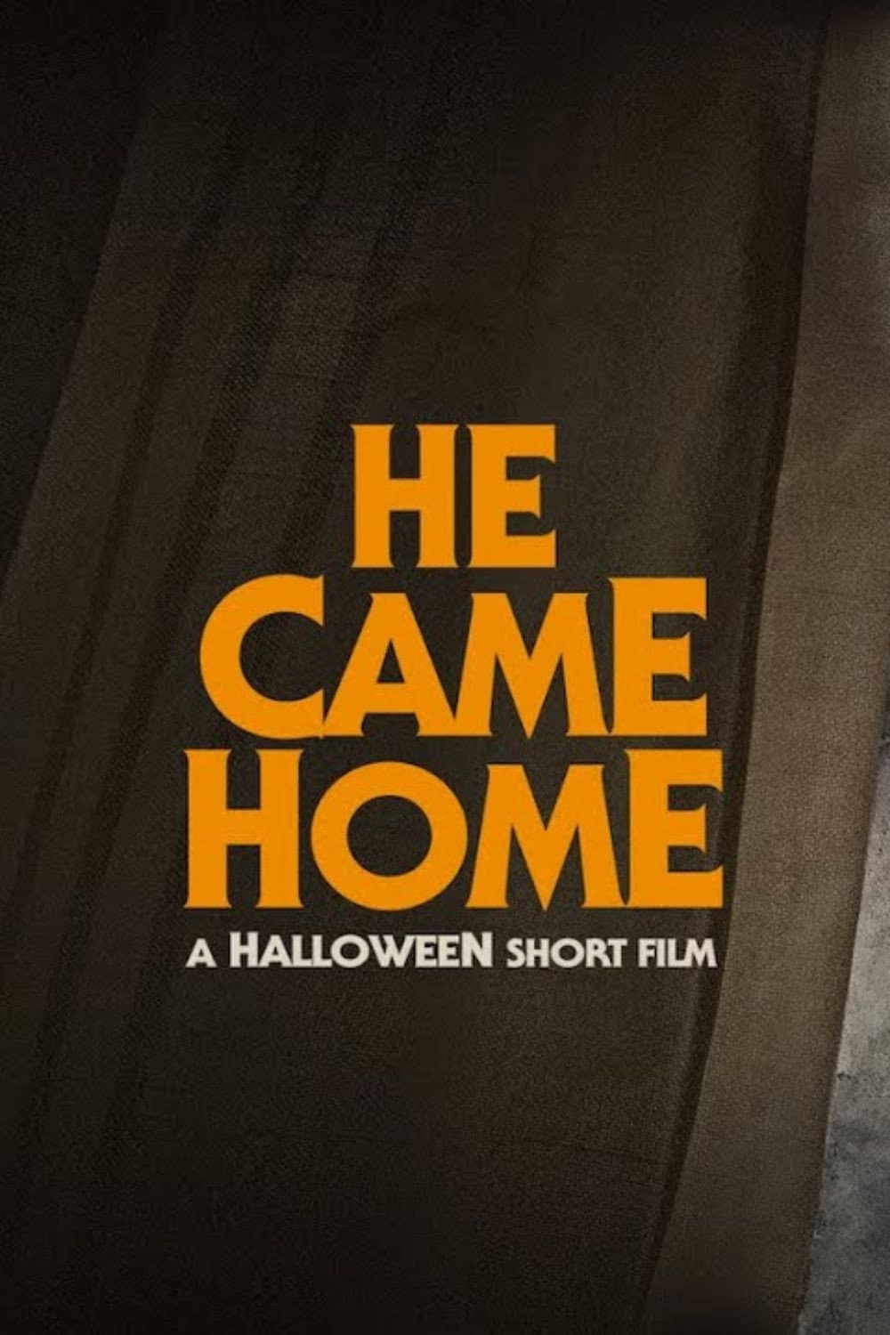 Poster di He Came Home