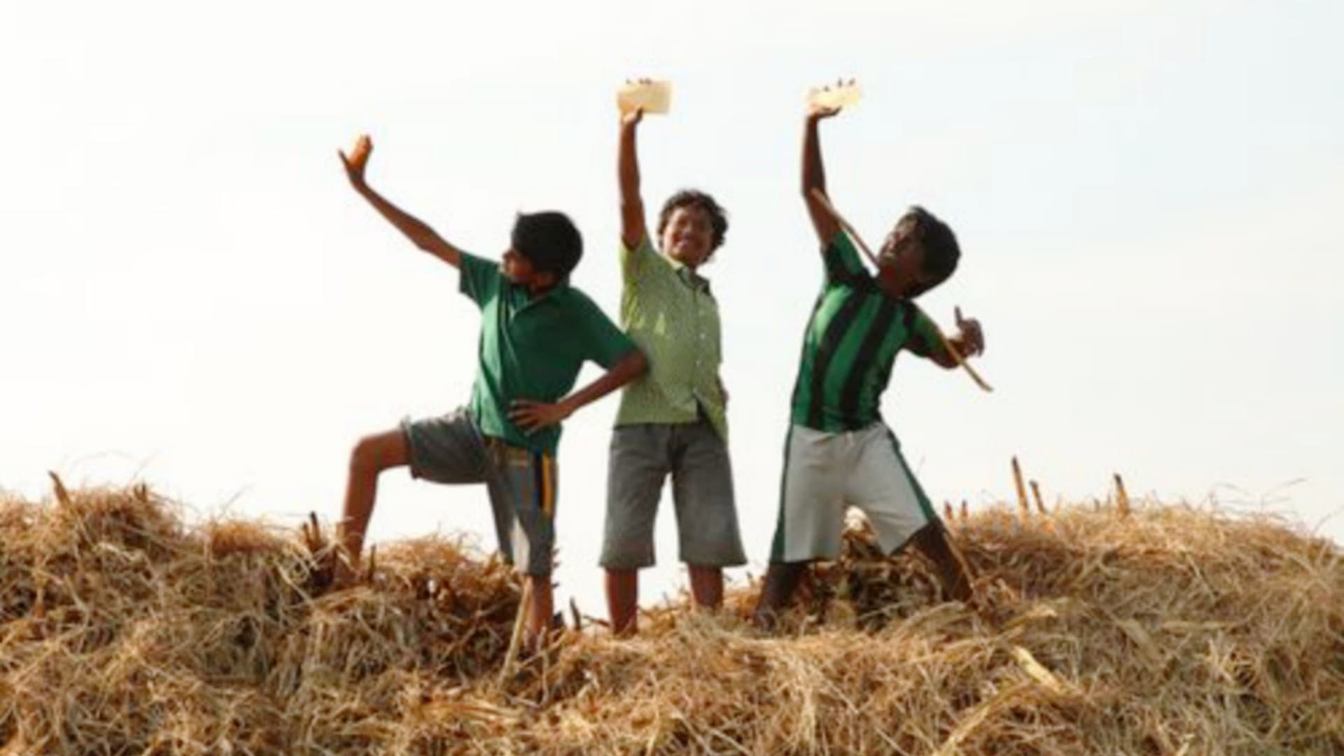 பூவரசம் பீப்பீ - immagine