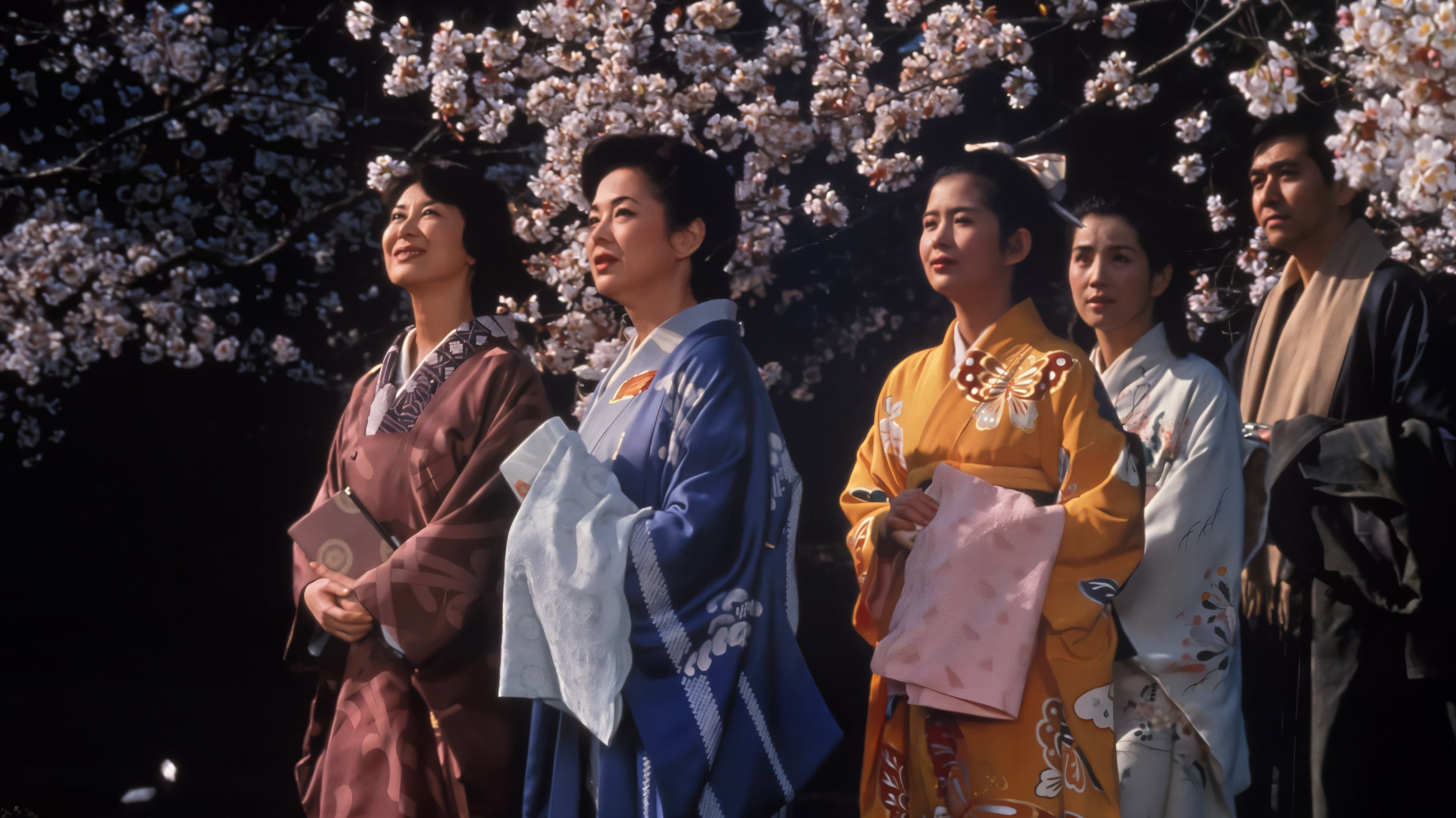 The Makioka Sisters - immagine