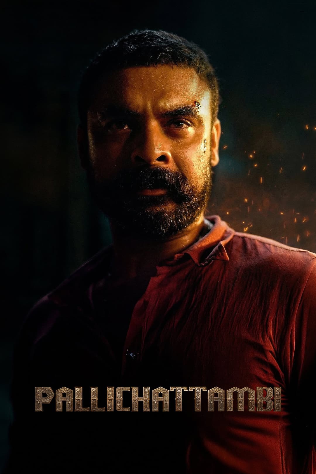 Poster di പള്ളിച്ചട്ടമ്പി