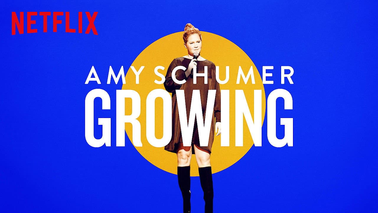 Amy Schumer: Growing - immagine
